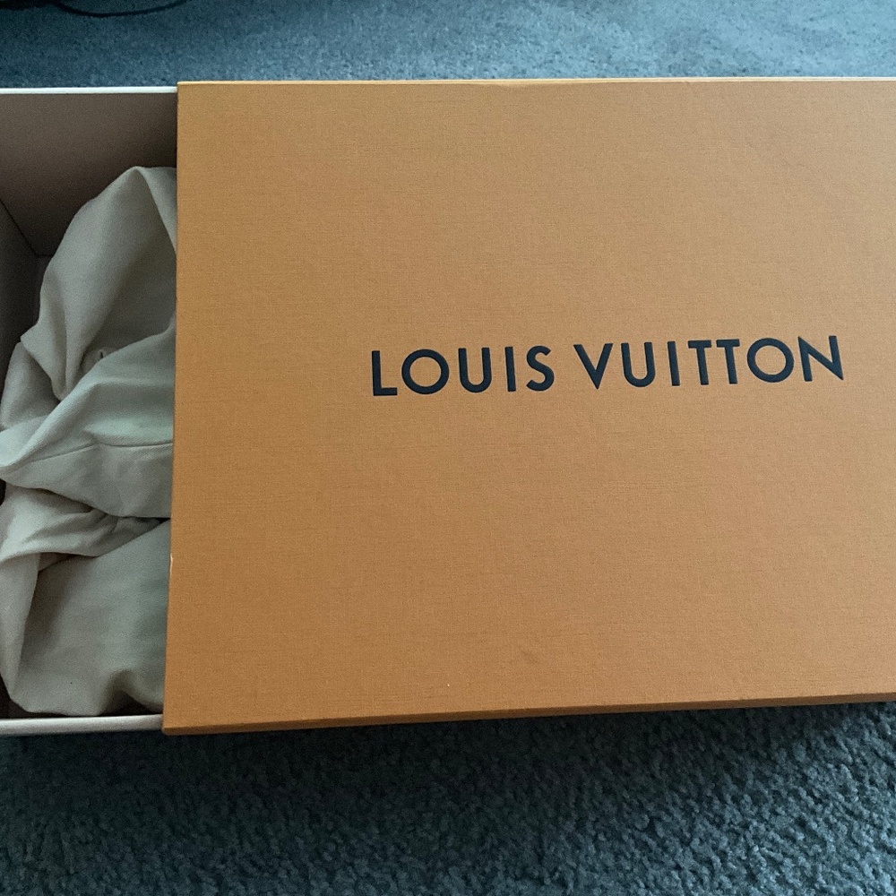 Louis Vuitton slippers
